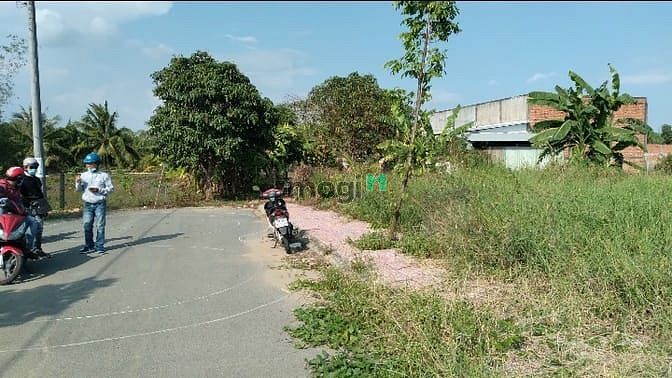 Hình ảnh Đất thổ cư 125 m2 1tỷ250 ngay ngã tư soài đôi thuộc Long Hòa Cần Đước