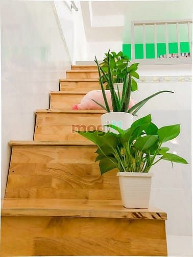 Hình ảnh Cho thuê Trang Chủ MB66.COM / Đăng Ký Tặng 66K đầy đủ nội thất ở Ngã tư Bảy Hiền Tân Bình