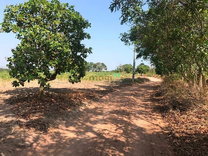 Hình ảnh Bán 8.7 hecta đất Tân Phúc, Hàm Tân rẻ nhất