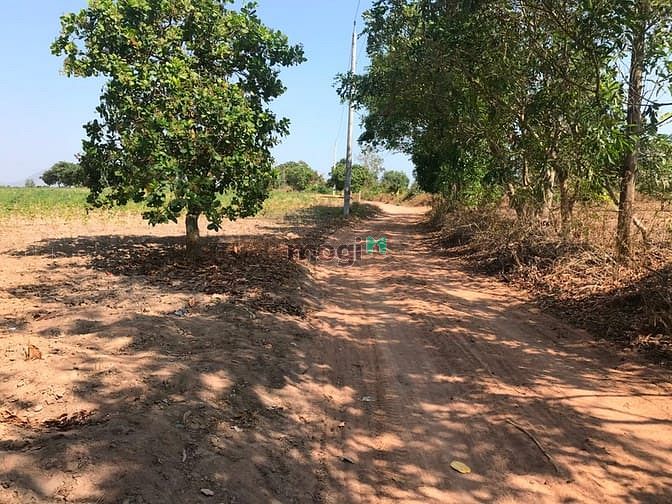 Hình ảnh Bán 8.7 hecta đất Tân Phúc, Hàm Tân rẻ nhất