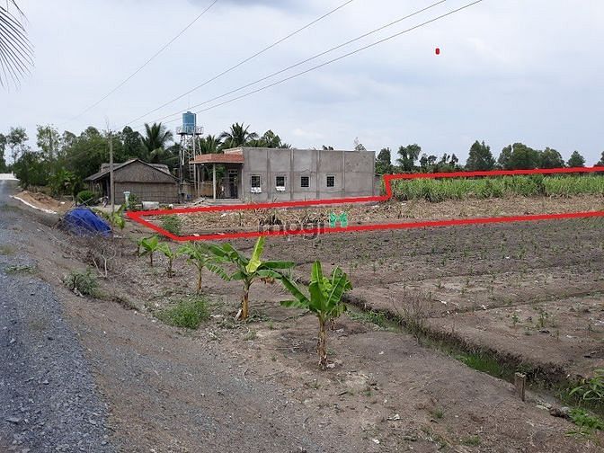 Hình ảnh 2000m2 Thổ vườn có 400m2 Thổ, xe 7 chỗ tới đất, giáp Bình Chánh