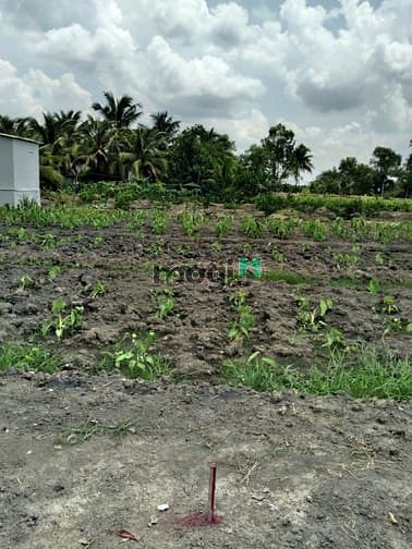 Hình ảnh 2000m2 Thổ vườn có 400m2 Thổ, xe 7 chỗ tới đất, giáp Bình Chánh