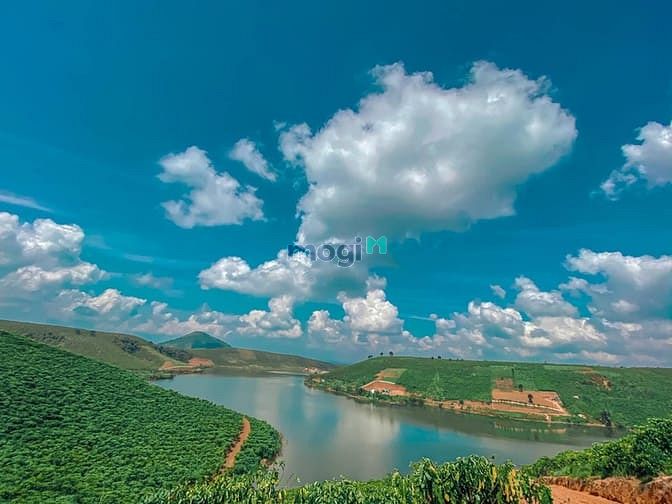 Hình ảnh Chỉ với 400 triệu bạn sở hữu ngay view đồi Bảo Lộc