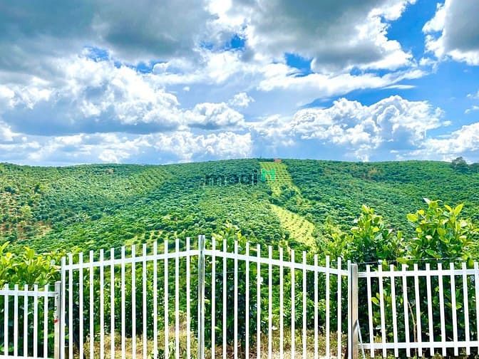 Hình ảnh Chỉ với 400 triệu bạn sở hữu ngay view đồi Bảo Lộc