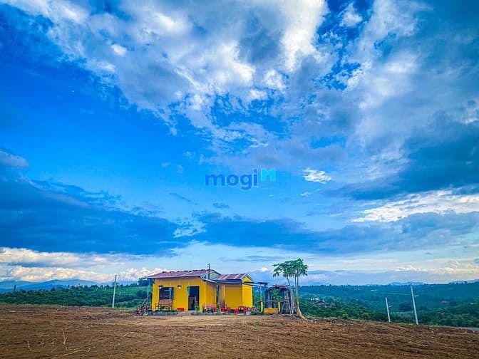 Hình ảnh Chỉ với 400 triệu bạn sở hữu ngay view đồi Bảo Lộc
