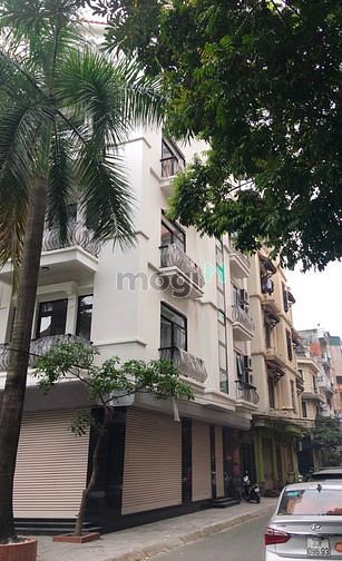Hình ảnh Cho thuê Biệt thư liền kề Đồ Quang 5 tầng thang máy