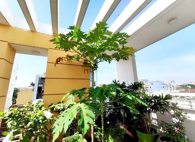 Hình ảnh Nhà hẻm xe hơi Phú Thọ Hòa 74m2 Tân Phú 7,6 tỷ