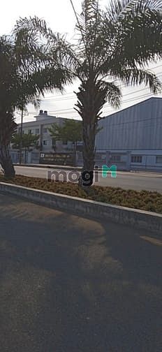 Hình ảnh Ly hôn bán gấp 130m2 đất MT cụm KCN Lê Minh Xuân.