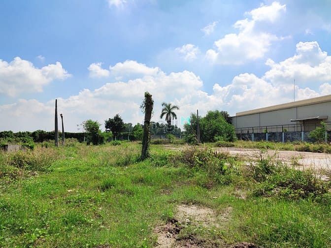 Hình ảnh Đất 42x66m, Mặt Tiền Xuân Thới Sơn 20C, Nguyễn Thị Thử, Hóc Môn