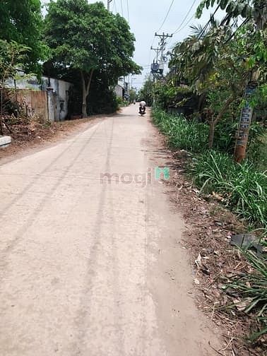 Hình ảnh Bán Đất 1/ ngắn Đường Vĩnh Lộc, Bình Chánh