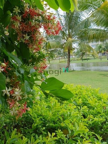 Hình ảnh sadora sala cho thuê Trang Chủ MB66.COM / Đăng Ký Tặng 66K sang trọng