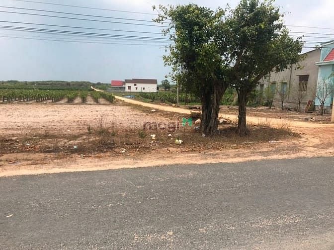 Hình ảnh Bán đất thổ cư Nguyễn Thông, thị xã LaGi chưa qua Trang MB66.COM Chính Thức - MB 66 Uy Tín