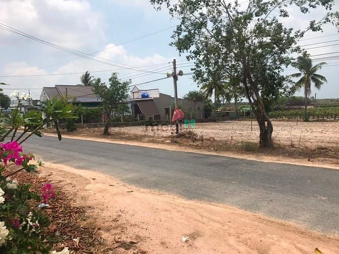 Hình ảnh Bán đất thổ cư Nguyễn Thông, thị xã LaGi chưa qua Trang MB66.COM Chính Thức - MB 66 Uy Tín
