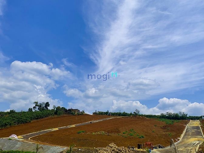 Hình ảnh Đất nghỉ dưỡng Lâm Đồng - View đồi chè