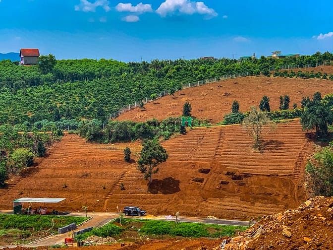 Hình ảnh Đất nghỉ dưỡng Lâm Đồng - View đồi chè