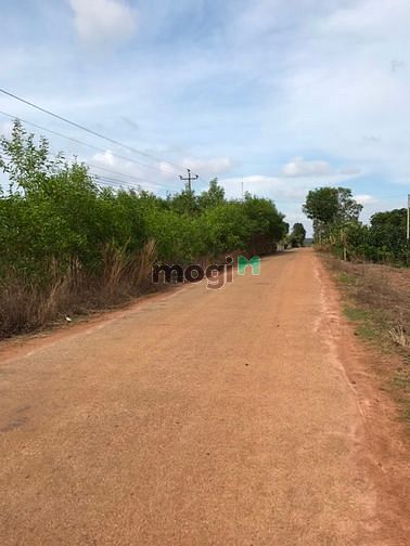 Hình ảnh Đất đối diện KCN Thắng Hải . 2 mẫu tư giá 5 tỷ 700 tr
