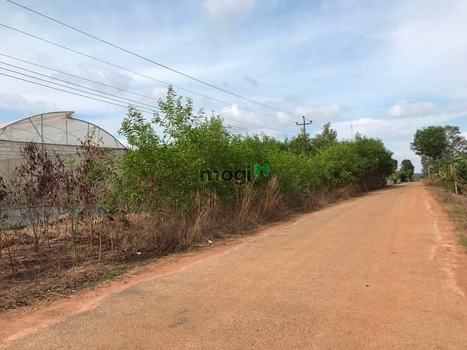 Hình ảnh Đất đối diện KCN Thắng Hải . 2 mẫu tư giá 5 tỷ 700 tr