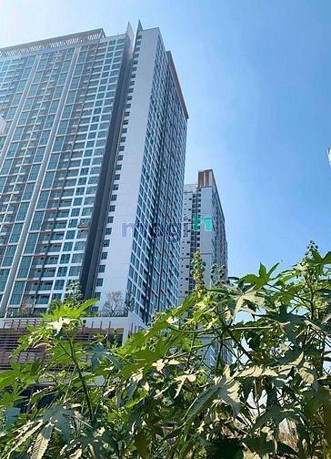 Hình ảnh cho thuê Trang Chủ MB66.COM / Đăng Ký Tặng 66K sang trọng FELIZ EN VISTA