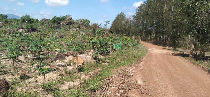 Hình ảnh Bán 3 hecta đất Tân Đức, Hàm Tân giá rẻ cách KCN 4km