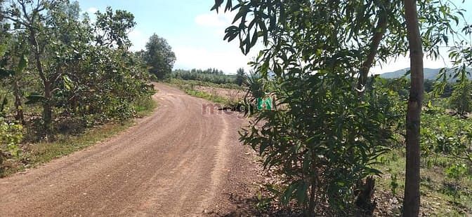 Hình ảnh Bán 3 hecta đất Tân Đức, Hàm Tân giá rẻ cách KCN 4km
