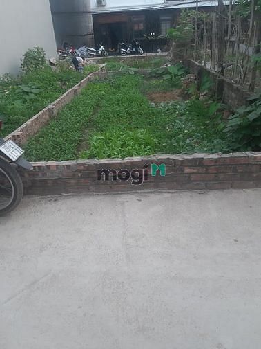 Hình ảnh Cần bán gấp mảnh đất Lai Xá, Kim Chung 52.4m2, Ôtô chỉ 46tr/m2,