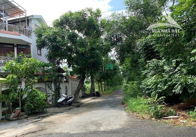 Hình ảnh Bán đất biệt thự KDC 13C Bình Chánh, cách trường quốc tế 50m, 268m2