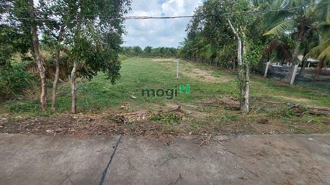 Hình ảnh 180m2 Thổ cư 5x36 đườbg bê tông xe 7 chỗ tới đất