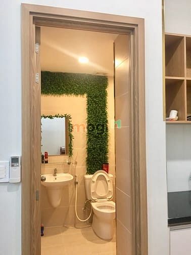 Hình ảnh Cho thuê studio có gác Charmington full nội thất 10tr y hình
