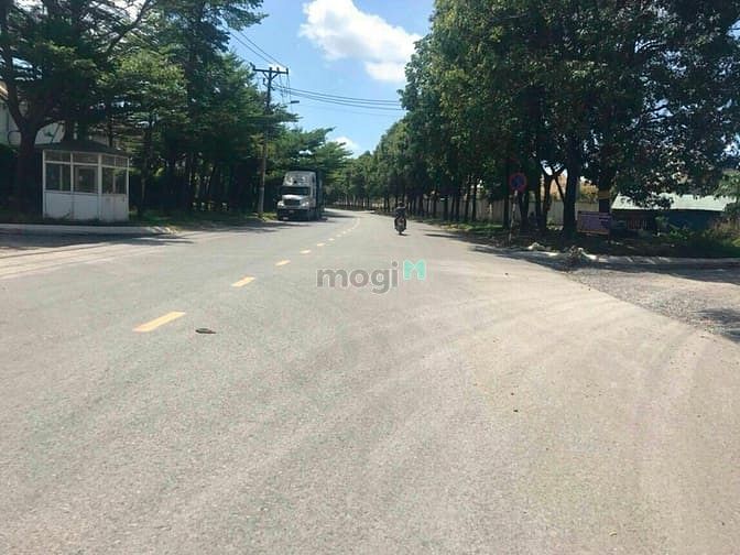 Hình ảnh Đất mặt tiền đường 1A, Hoàng Hữu Nam  (5.2×53=270m2) 8.5 tỉ