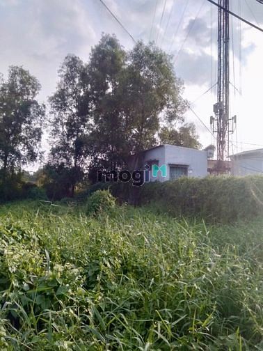 Hình ảnh Đất nền Q12, thạnh xuân 52 gần chợ đường, 315m2 (4,5x70) giá 6ty3 cótl