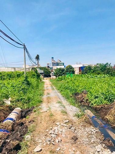 Hình ảnh Đất nền Q12, thạnh xuân 52 gần chợ đường, 315m2 (4,5x70) giá 6ty3 cótl
