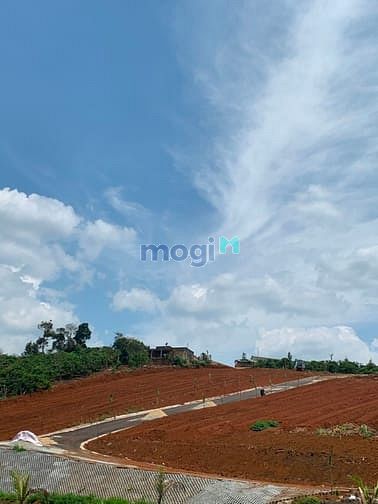 Hình ảnh Đất nghỉ dưỡng Lâm Đồng - view đồi chè