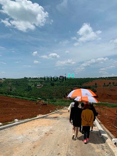 Hình ảnh Đất nghỉ dưỡng Lâm Đồng - view đồi chè