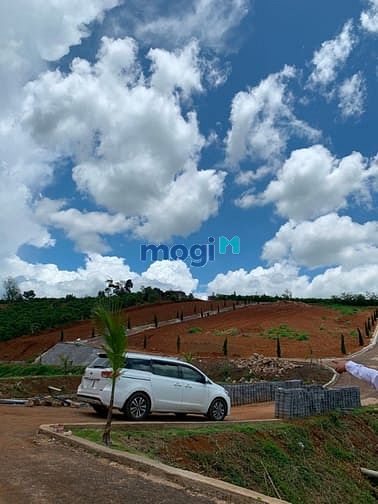 Hình ảnh Đất nghỉ dưỡng Lâm Đồng - view đồi chè