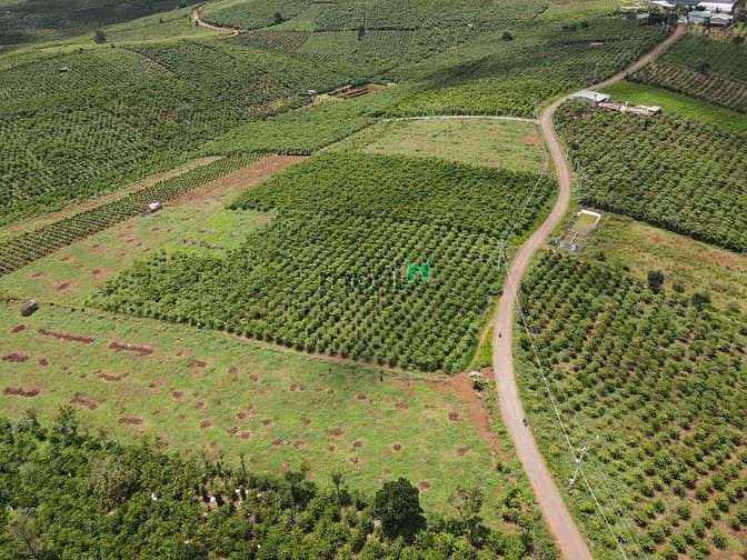 Hình ảnh bán nhanh lô đất nghỉ dưỡng view đẹp