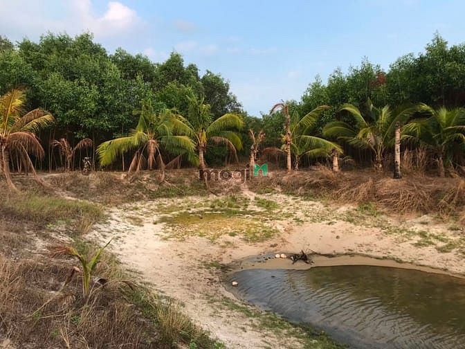 Hình ảnh Đât biển 6 mẫu. Mặt tiền 300 m. Bình thuận giá 19 tỷ .
