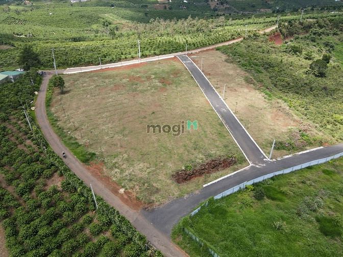 Hình ảnh bán đất trung tâm hành chính dambri ,tặng 200m thổ cư