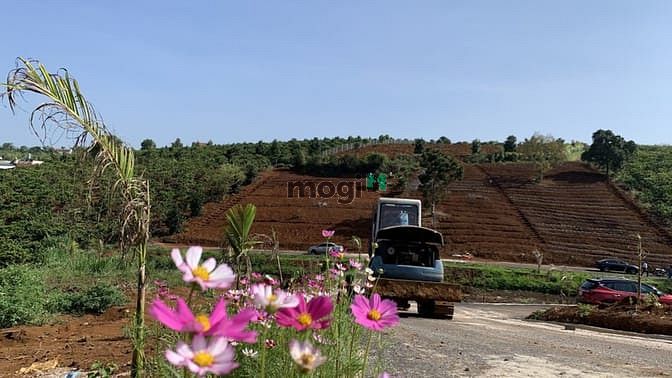 Hình ảnh Đất nghỉ dưỡng Lâm Đồng - view đẹp
