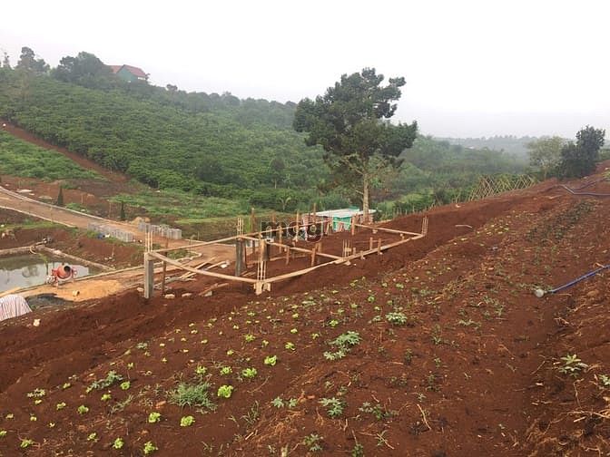 Hình ảnh Đất nghỉ dưỡng Lâm Đồng - view đẹp
