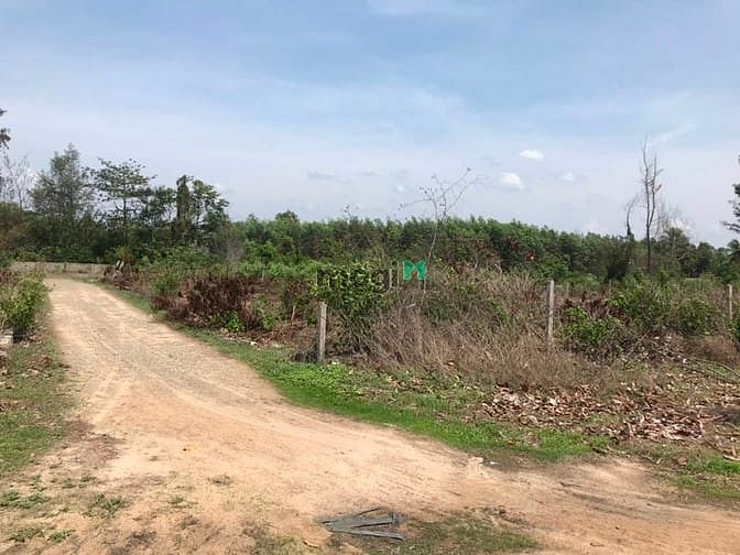 Hình ảnh Đất trong HOZOTA 1300 m2. Bình thuận giá 9 tỷ8