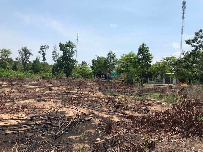 Hình ảnh Đất trong HOZOTA 1300 m2. Bình thuận giá 9 tỷ8