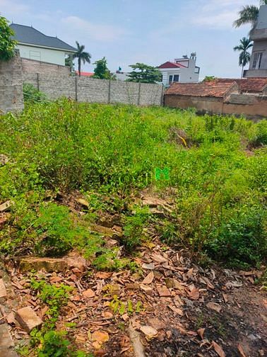 Hình ảnh Bán Đất TT đồi Ngô, Lục Nam 100m2, mt 5m. Giá 300 triệu