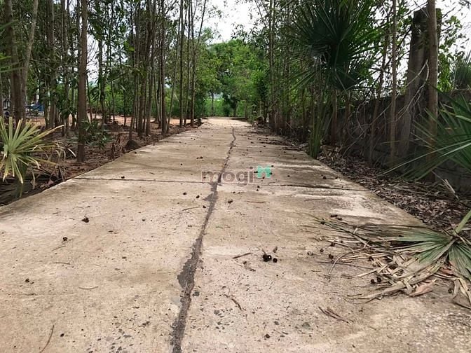Hình ảnh 5 mẫu đất Suối Bang Thắng Hải giá 9 tỷ 200 tr
