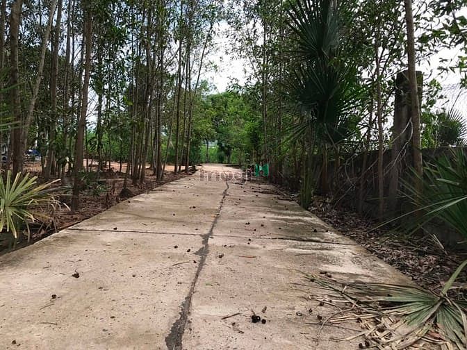 Hình ảnh 5 mẫu đất Suối Bang Thắng Hải giá 9 tỷ 200 tr