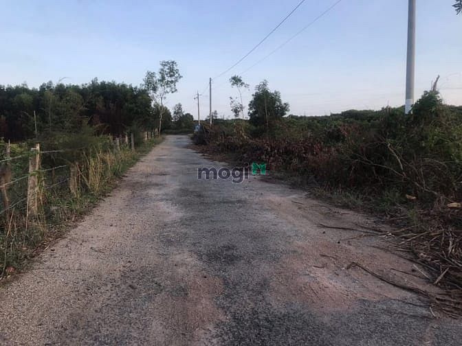 Hình ảnh Đất giáp Bà Rịa. Có suối 2 mẫu tư . Giá 15 tỷ, bình thuận