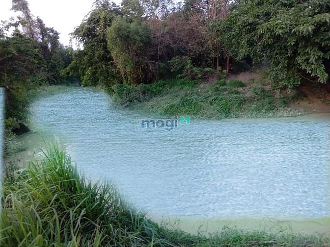 Hình ảnh Đất giáp Bà Rịa. Có suối 2 mẫu tư . Giá 15 tỷ, bình thuận