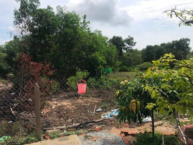 Hình ảnh Bán 1 sào đất gần biển Tân Phước, thị xã LaGi giá mềm nhất