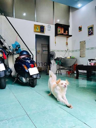 Hình ảnh Nhà hẻm xe tải Tân Sơn Nhì cần bán gấp.