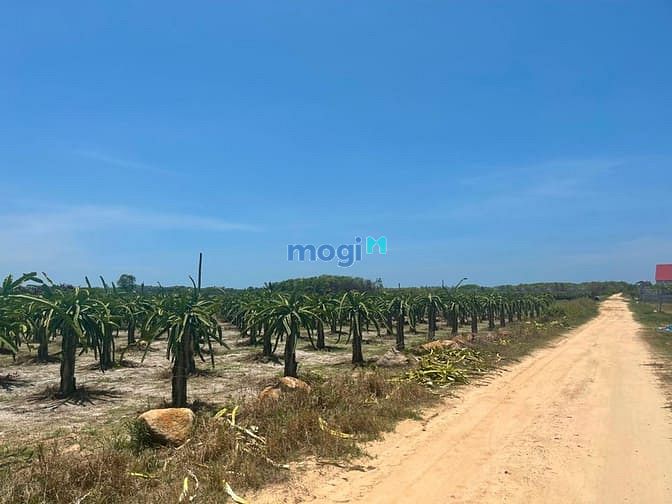 Hình ảnh Bán đất hẻm Nguyễn Thông, thị xã LaGi cách biển 1.5km có thổ cư