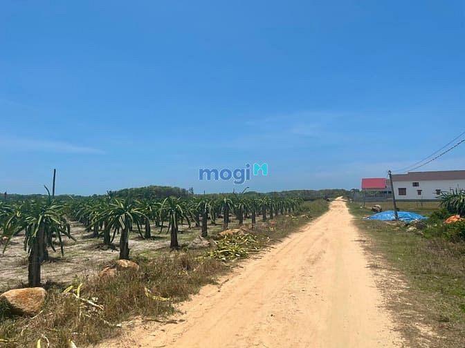 Hình ảnh Bán đất hẻm Nguyễn Thông, thị xã LaGi cách biển 1.5km có thổ cư